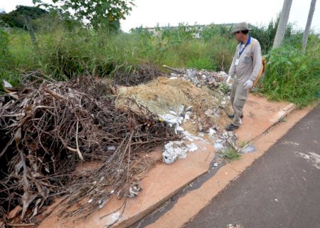 Recorde: Dengue matou 42 pessoas em Mato Grosso do Sul no ano de 2023; número pode chegar a 44