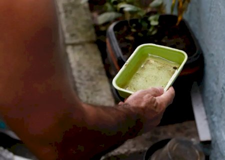 Vacina da dengue agrega outras estratégias de combate