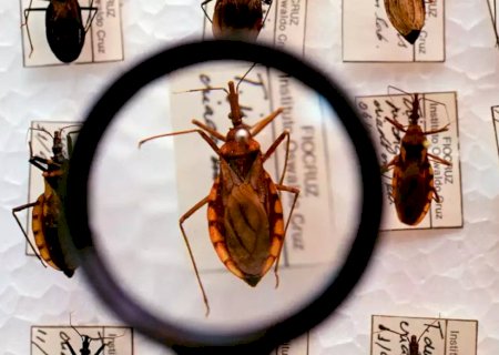 Brasil quer eliminar 14 doenças que atingem população vulnerável