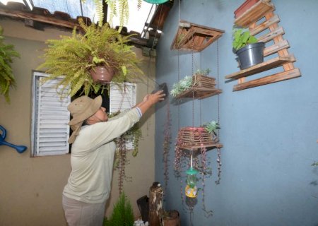 Autoridades de MS alertam que 80% dos focos de dengue estão dentro das residências