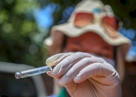 Batayporã: Secretaria de Saúde vai intensificar fiscalização contra a dengue com notificações e multas