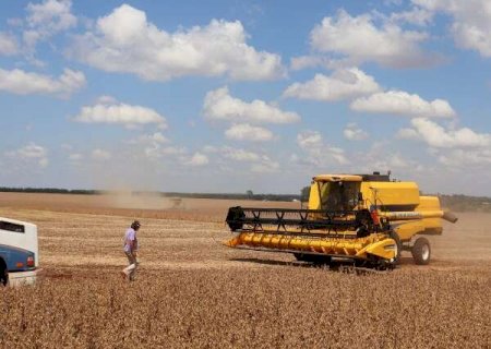 MS registra o maior crescimento do PIB do agro entre os estados brasileiros