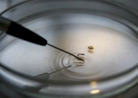 Brasil supera 1 mil mortes por dengue este ano e os casos somam 2,6 milhões