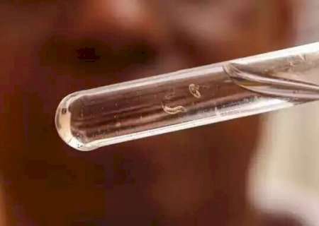 MS registra mais quatro mortes por dengue nesta semana