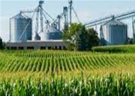 Agroindústria brasileira segue crescendo