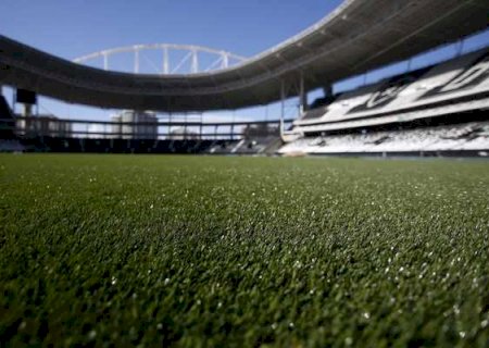 Botafogo x Palmeiras: onde assistir ao vivo, horário e escalações
