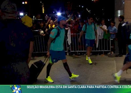 Dorival usa todos os convocados de linha da Seleção; Vini Júnior é quem mais tempo jogou com o técnico