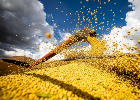 Queda de preços da soja em julho e aumento de produção argentina em 24/25 movimentam o mercado