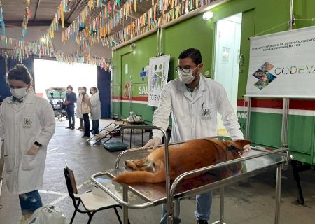 Batayporã recebe inscrições para o Castramóvel até o dia 17