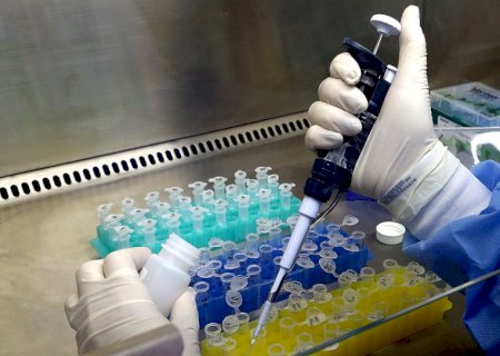 SES confirma primeiro caso autóctone de Febre Oropouche em Mato Grosso do Sul