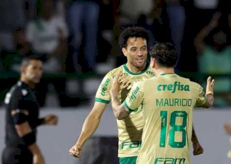 Palmeiras fecha janela com R$ 100 milhões investidos; reforços começam a ganhar espaço