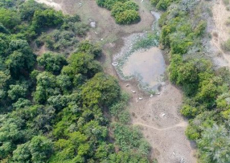 MP instaura inquérito sobre fazenda abandonada com mil bois