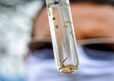 Boletim Epidemiológico: MS registra 15.800 casos confirmados de dengue