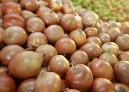 Conab aponta alta nos preços da cebola, cenoura e tomate