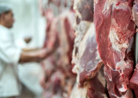 Carne bovina pode liderar produção global, e mira exterior