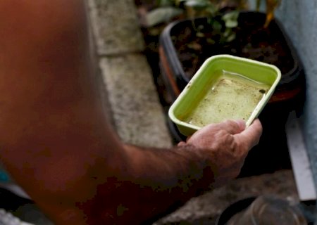 Dengue matou mais que covid no Brasil em 2024