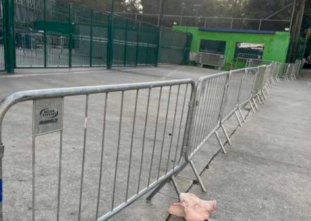 Cabeça de porco é colocada em acesso ao estádio do Palmeiras antes de Dérbi com o Corinthians