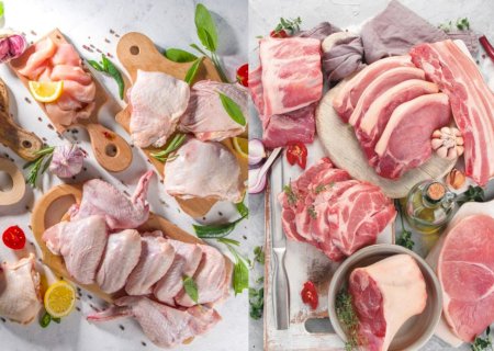 Brasil conquista novo mercado para exportação de carne de aves e suína