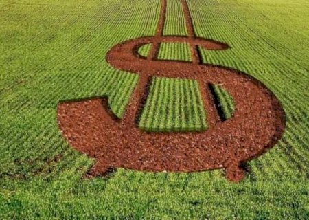 Em carta conjunta, Sistema FAEP cobra melhorias nos Planos Safras 2024/25 e 2025/26