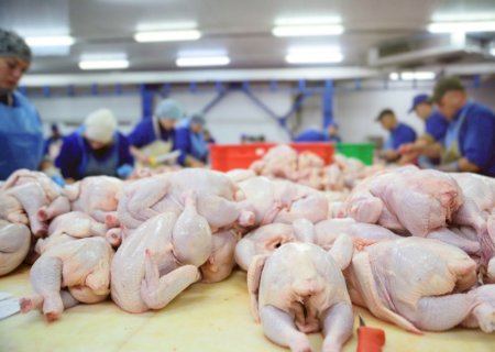Preços da carne de frango se sustentam em algumas regiões, mas caem em outras em fevereiro