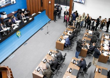 Pautada proposta que reconhece o tuiuiú como ave símbolo do Pantanal de MS