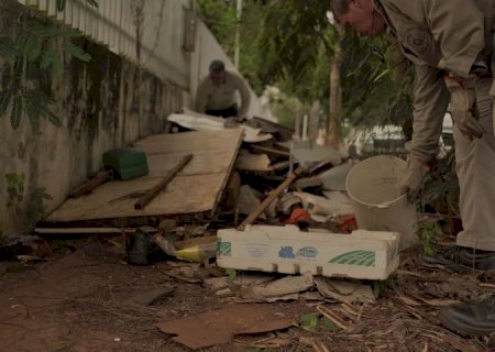Boletim Epidemiológico: MS registra 1.424 casos confirmados de dengue