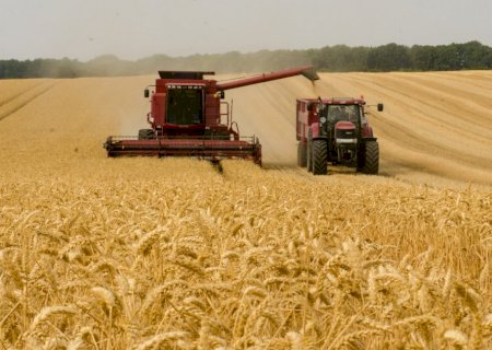 PIB do agronegócio alcança R$ 2,7 trilhões e fecha 2024 com crescimento
