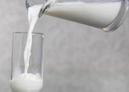 Preços do leite seguem em alta, mas ritmo de valorização deve desacelerar
