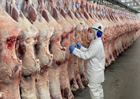 Privatização da inspeção agropecuária trará riscos à saúde pública, dizem auditores
