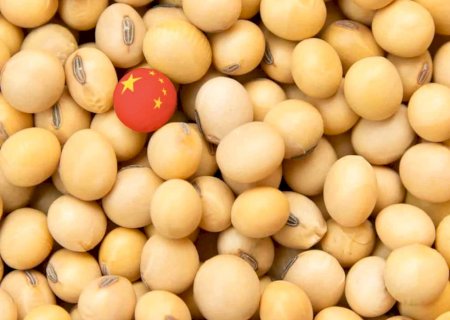 Você viu? China compra volume surpreendente de soja brasileira em apenas 4 dias