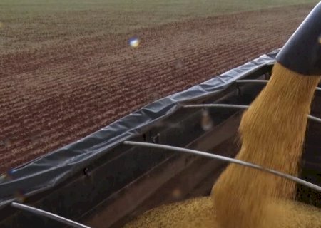 Soja: mercado segue voltado à guerra comercial após semana de boa movimentação