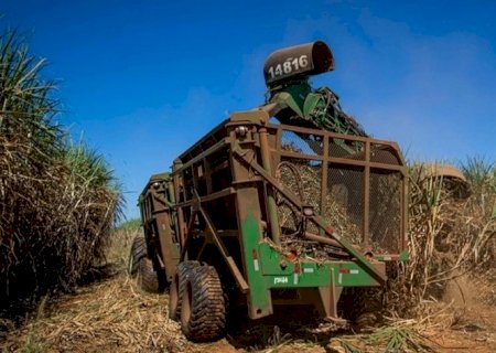 Preços do etanol e do açúcar sobem no início da safra de cana 2025/26