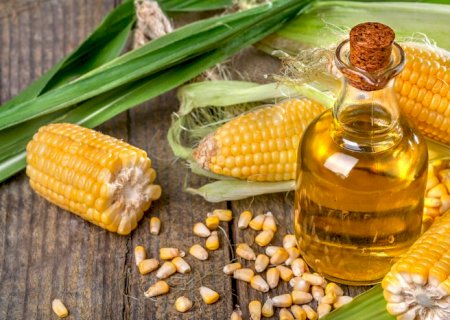Produtos menos tradicionais do agronegócio batem recordes de exportação