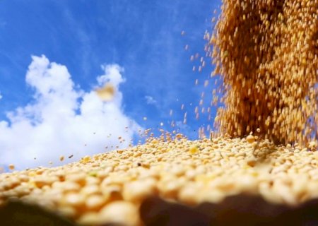 Saiba como ficou o mercado de soja após os números do USDA