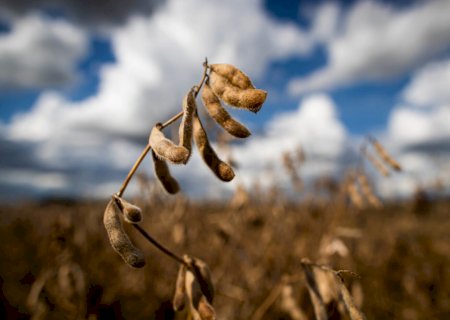Produtores atingidos por eventos climáticos poderão renegociar dívidas