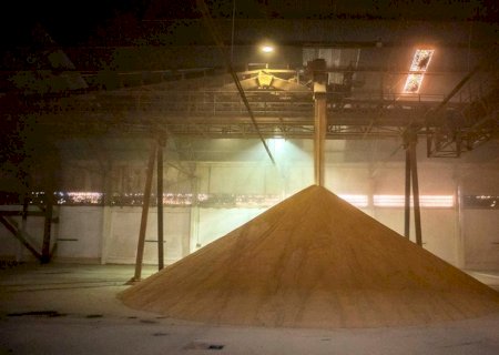 Gargalos de armazenagem afetam segurança alimentar e renda do produtor