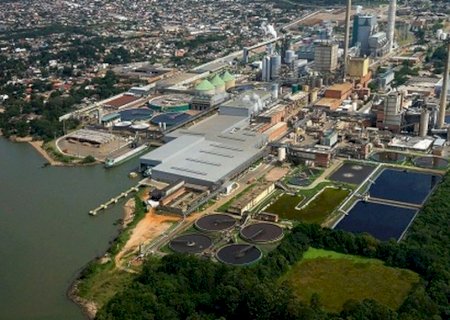 Gigante da celulose com 1.000 fazendas, aposta R$ 24 bilhões em megaindústria no Brasil