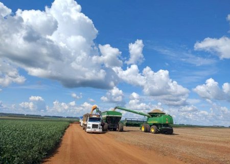 Soja e milho puxam crescimento do agro em abril no Estado