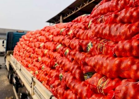 Frio provoca alta no preço do tomate e da banana nanica no início de julho, aponta Ceasa-MS