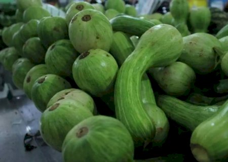 Frio faz disparar preço de hortaliças em MS