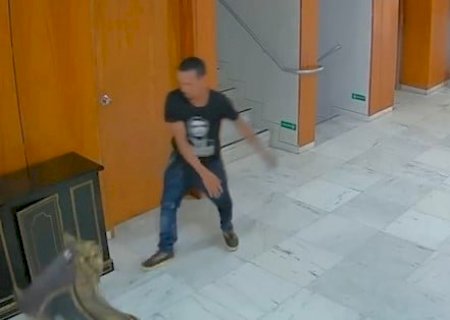 Juiz diz que errou ao soltar homem que quebrou relógio histórico no 8 de Janeiro