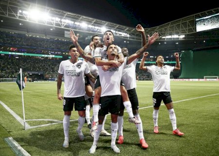 Botafogo não perde para o Palmeiras há mais de um ano e levou a melhor em jogos decisivos recentes