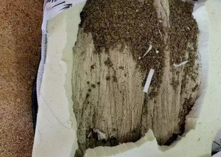 Advogada é presa ao tentar entrar com colchão recheado de maconha em presídio
