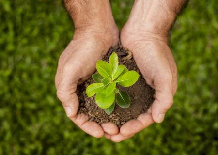 Brasil mira protagonismo global com bioinsumos integrados aos fertilizantes