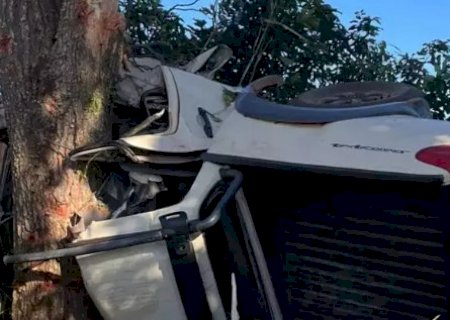 Caminhonete colide com árvore e deixa três mortos em estrada vicinal