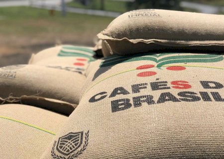 Brasil deixa de embarcar mais de 450 mil sacas de café e acumula prejuízo de R$ 1,022 bilhão