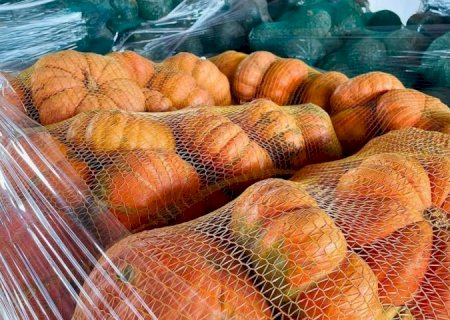 Na Ceasa de Mato Grosso do Sul, inverno aumenta procura por legumes que enriquecem caldos e sopas