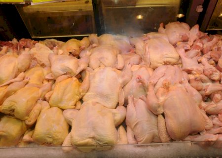 5 meses após recuperar mercado chinês, exportação de frango argentina pode cair