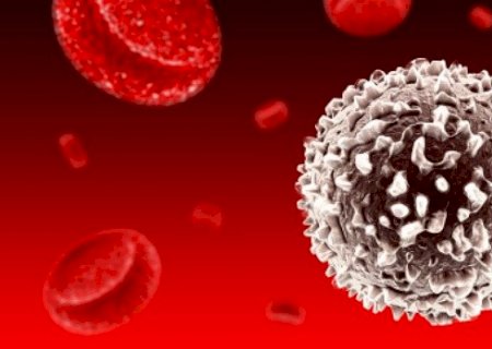 Projeto busca cortar pela metade custo de tratamento para câncer no sangue