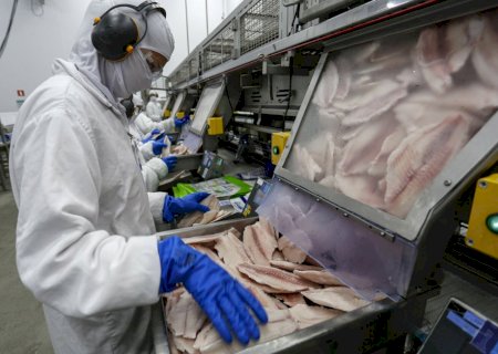 Governo cria regras emergenciais para compras públicas de alimentos afetados por tarifas dos EUA